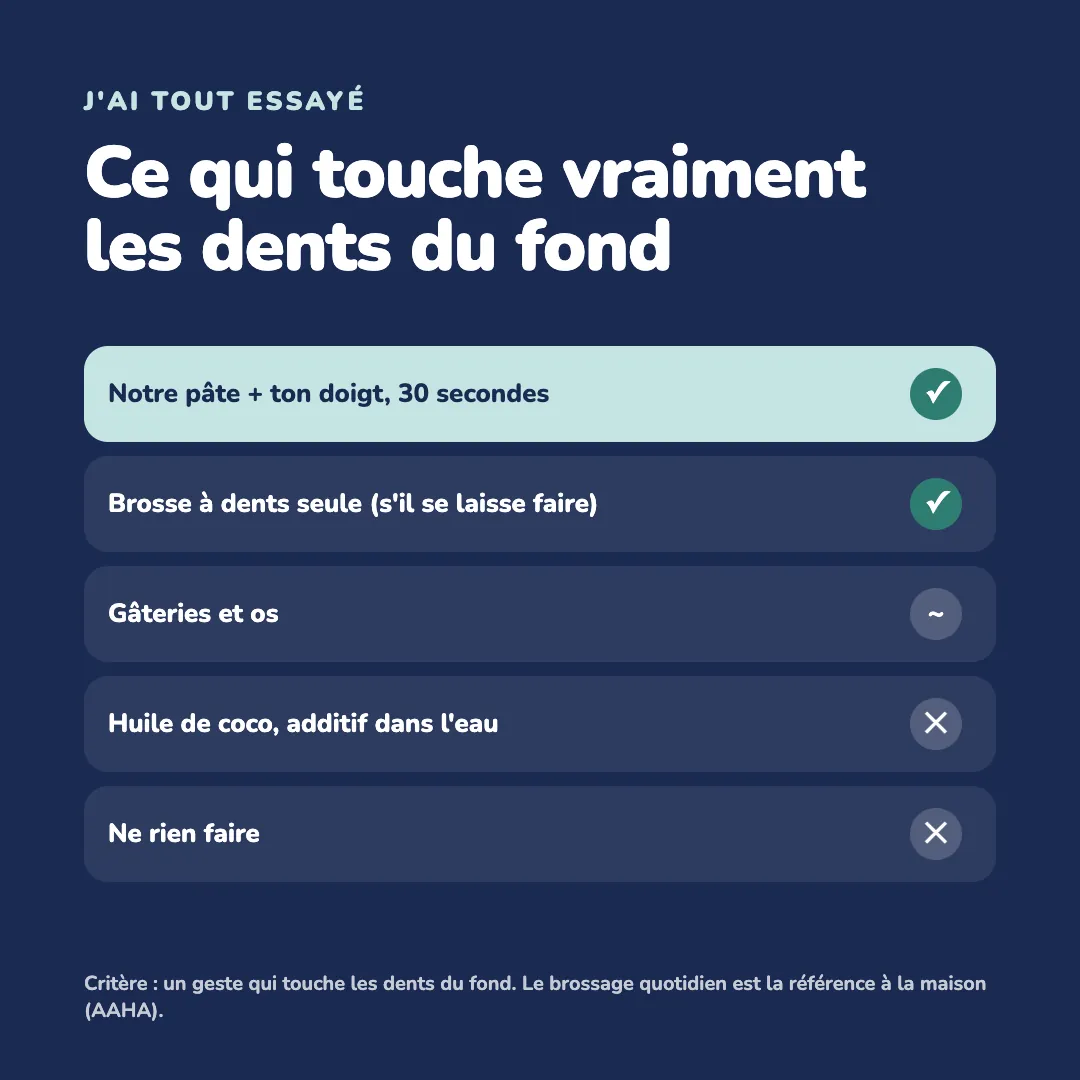 Comparatif des options