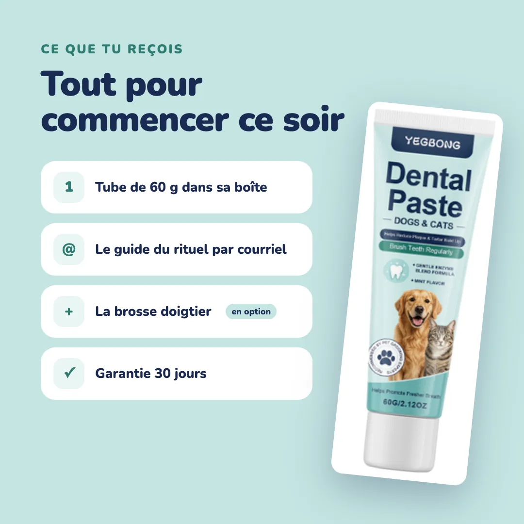 Ce que tu reçois