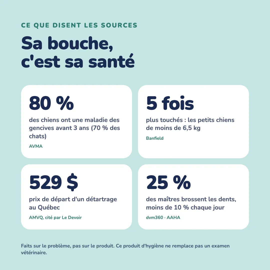 Faits sourcés sur la santé de la bouche